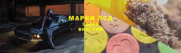 круглые Новозыбков
