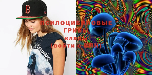 МДПВ Нефтегорск