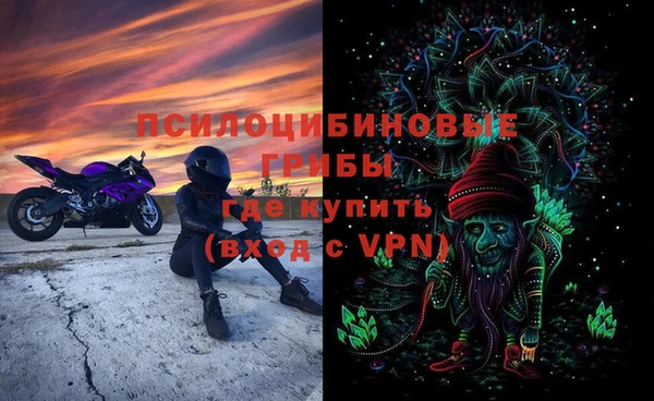 МДПВ Нефтегорск