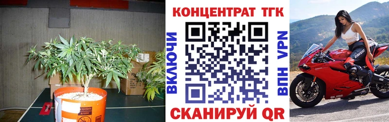 что такое   Курлово  Дистиллят ТГК Wax 